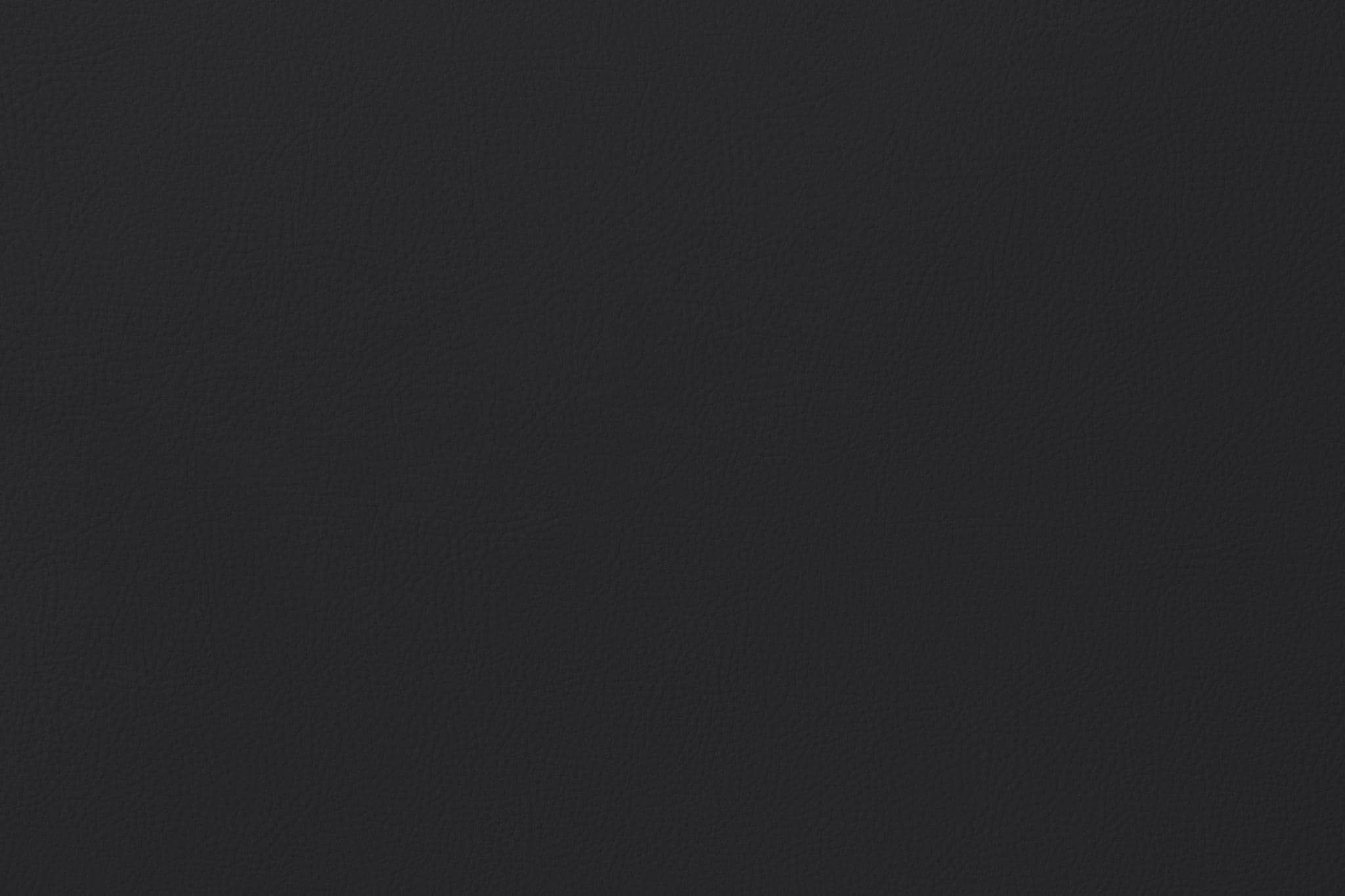 Florida Black F10