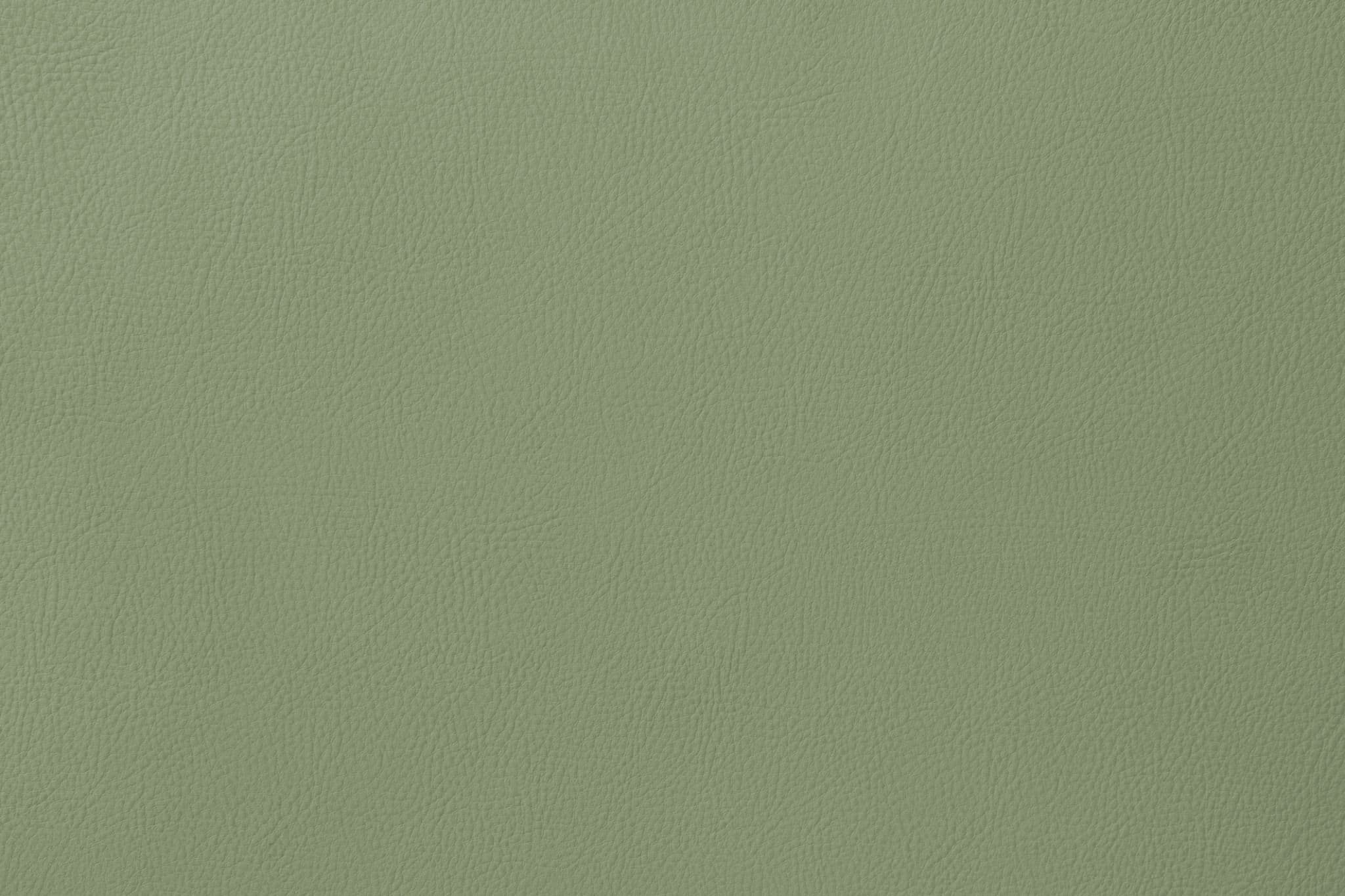 Florida Green F55