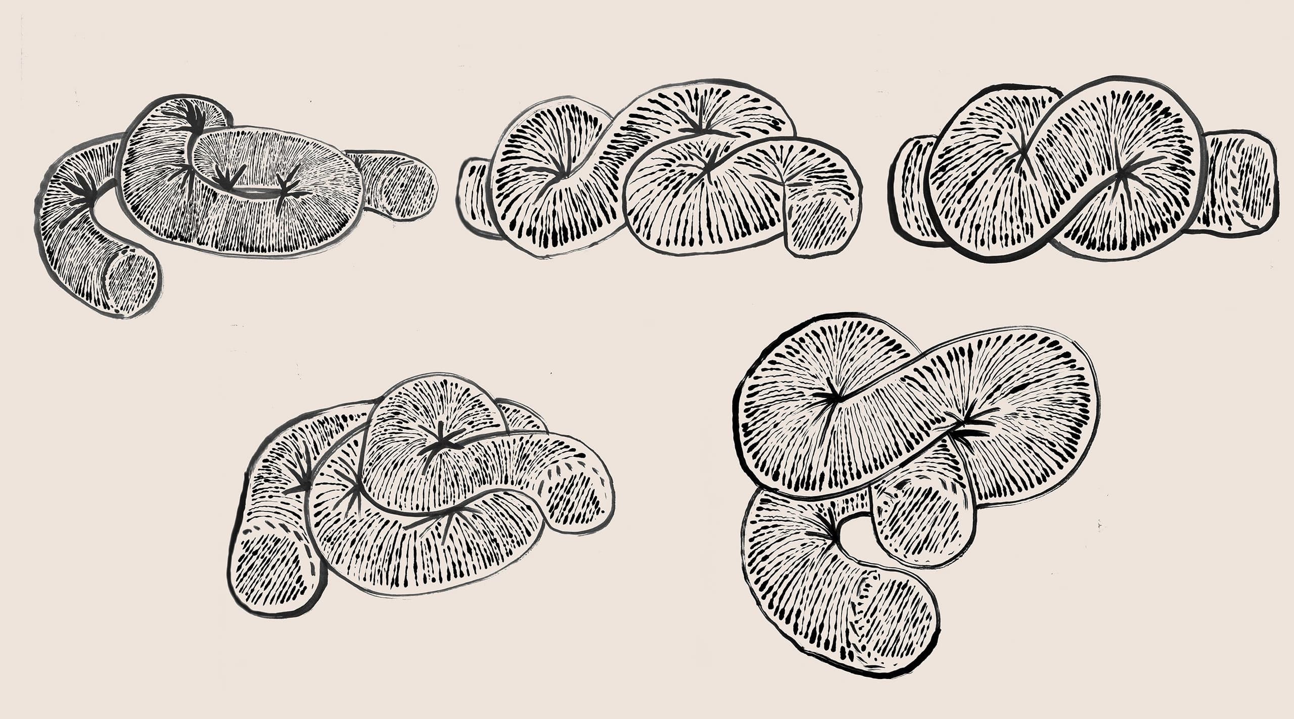 Matter And Shape Cocktail ©lars Brønseth 3