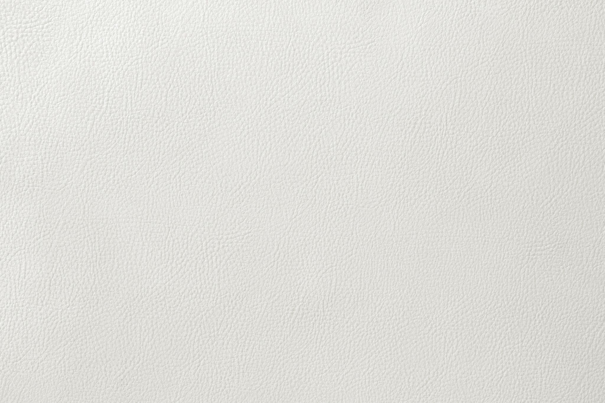 Florida White F54