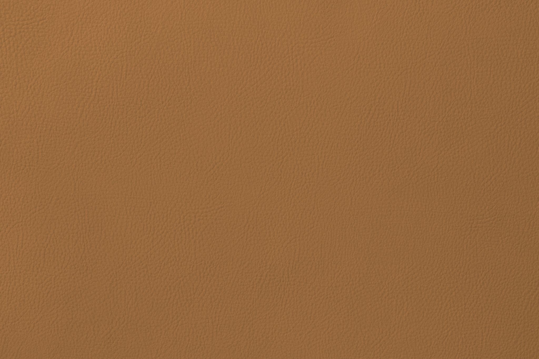 Florida Brown F51